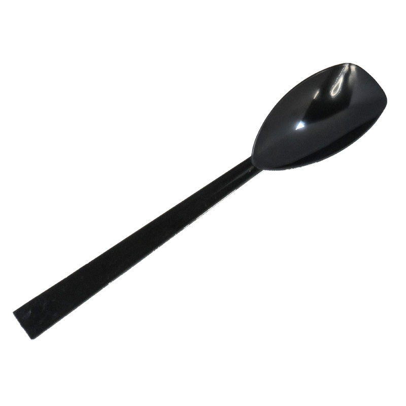10" Serving Spoon (72/case)